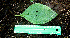  ( - BioBot00583)  @11 [ ] CreativeCommons - Attribution Non-Commercial Share-Alike (2010) Daniel H. Janzen Guanacaste Dry Forest Conservation Fund