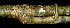  ( - BioBot00587)  @11 [ ] CreativeCommons - Attribution Non-Commercial Share-Alike (2010) Daniel H. Janzen Guanacaste Dry Forest Conservation Fund