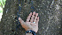  ( - BioBot00669)  @11 [ ] CreativeCommons - Attribution Non-Commercial Share-Alike (2010) Daniel H. Janzen Guanacaste Dry Forest Conservation Fund