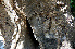  ( - BioBot00670)  @11 [ ] CreativeCommons - Attribution Non-Commercial Share-Alike (2010) Daniel H. Janzen Guanacaste Dry Forest Conservation Fund