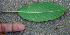  ( - BioBot00670)  @11 [ ] CreativeCommons - Attribution Non-Commercial Share-Alike (2010) Daniel H. Janzen Guanacaste Dry Forest Conservation Fund