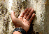  ( - BioBot00685)  @11 [ ] CreativeCommons - Attribution Non-Commercial Share-Alike (2010) Daniel H. Janzen Guanacaste Dry Forest Conservation Fund