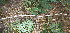  ( - BioBot00685)  @11 [ ] CreativeCommons - Attribution Non-Commercial Share-Alike (2010) Daniel H. Janzen Guanacaste Dry Forest Conservation Fund