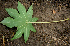  ( - BioBot00726)  @11 [ ] CreativeCommons - Attribution Non-Commercial Share-Alike (2010) Daniel H. Janzen Guanacaste Dry Forest Conservation Fund