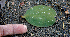  ( - BioBot00759)  @11 [ ] CreativeCommons - Attribution Non-Commercial Share-Alike (2010) Daniel H. Janzen Guanacaste Dry Forest Conservation Fund