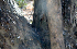  ( - BioBot00772)  @11 [ ] CreativeCommons - Attribution Non-Commercial Share-Alike (2010) Daniel H. Janzen Guanacaste Dry Forest Conservation Fund