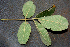  ( - BioBot00773)  @11 [ ] CreativeCommons - Attribution Non-Commercial Share-Alike (2010) Daniel H. Janzen Guanacaste Dry Forest Conservation Fund