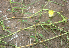 ( - BioBot00957)  @11 [ ] CreativeCommons - Attribution Non-Commercial Share-Alike (2010) Daniel H. Janzen Guanacaste Dry Forest Conservation Fund