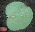  ( - BioBot01116)  @11 [ ] CreativeCommons - Attribution Non-Commercial Share-Alike (2010) Daniel H. Janzen Guanacaste Dry Forest Conservation Fund