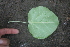  ( - BioBot01118)  @11 [ ] CreativeCommons - Attribution Non-Commercial Share-Alike (2010) Daniel H. Janzen Guanacaste Dry Forest Conservation Fund
