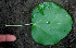  ( - BioBot01118)  @11 [ ] CreativeCommons - Attribution Non-Commercial Share-Alike (2010) Daniel H. Janzen Guanacaste Dry Forest Conservation Fund