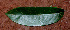  ( - BioBot01143)  @11 [ ] CreativeCommons - Attribution Non-Commercial Share-Alike (2010) Daniel H. Janzen Guanacaste Dry Forest Conservation Fund