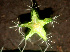  ( - BioBot01188)  @11 [ ] CreativeCommons - Attribution Non-Commercial Share-Alike (2010) Daniel H. Janzen Guanacaste Dry Forest Conservation Fund