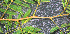  ( - BioBot01282)  @11 [ ] CreativeCommons - Attribution Non-Commercial Share-Alike (2010) Daniel H. Janzen Guanacaste Dry Forest Conservation Fund