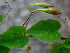  ( - BioBot01300)  @11 [ ] CreativeCommons - Attribution Non-Commercial Share-Alike (2010) Daniel H. Janzen Guanacaste Dry Forest Conservation Fund