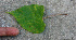  ( - BioBot01300)  @11 [ ] CreativeCommons - Attribution Non-Commercial Share-Alike (2010) Daniel H. Janzen Guanacaste Dry Forest Conservation Fund