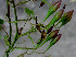  ( - BioBot01301)  @11 [ ] CreativeCommons - Attribution Non-Commercial Share-Alike (2010) Daniel H. Janzen Guanacaste Dry Forest Conservation Fund