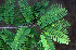  ( - BioBot01308)  @11 [ ] CreativeCommons - Attribution Non-Commercial Share-Alike (2010) Daniel H. Janzen Guanacaste Dry Forest Conservation Fund