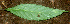  ( - BioBot01344)  @11 [ ] CreativeCommons - Attribution Non-Commercial Share-Alike (2010) Daniel H. Janzen Guanacaste Dry Forest Conservation Fund