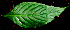  ( - BioBot01345)  @11 [ ] CreativeCommons - Attribution Non-Commercial Share-Alike (2010) Daniel H. Janzen Guanacaste Dry Forest Conservation Fund