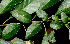  ( - BioBot01348)  @11 [ ] CreativeCommons - Attribution Non-Commercial Share-Alike (2010) Daniel H. Janzen Guanacaste Dry Forest Conservation Fund
