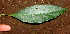  ( - BioBot01348)  @11 [ ] CreativeCommons - Attribution Non-Commercial Share-Alike (2010) Daniel H. Janzen Guanacaste Dry Forest Conservation Fund