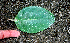  ( - BioBot01387)  @11 [ ] CreativeCommons - Attribution Non-Commercial Share-Alike (2010) Daniel H. Janzen Guanacaste Dry Forest Conservation Fund