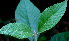  ( - BioBot01454)  @11 [ ] CreativeCommons - Attribution Non-Commercial Share-Alike (2010) Daniel H. Janzen Guanacaste Dry Forest Conservation Fund