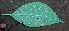  ( - BioBot01455)  @11 [ ] CreativeCommons - Attribution Non-Commercial Share-Alike (2010) Daniel H. Janzen Guanacaste Dry Forest Conservation Fund