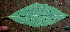  ( - BioBot01456)  @11 [ ] CreativeCommons - Attribution Non-Commercial Share-Alike (2010) Daniel H. Janzen Guanacaste Dry Forest Conservation Fund