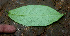  ( - BioBot01466)  @11 [ ] CreativeCommons - Attribution Non-Commercial Share-Alike (2010) Daniel H. Janzen Guanacaste Dry Forest Conservation Fund
