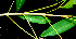  ( - BioBot01506)  @11 [ ] CreativeCommons - Attribution Non-Commercial Share-Alike (2010) Daniel H. Janzen Guanacaste Dry Forest Conservation Fund