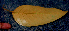  ( - BioBot01576)  @11 [ ] CreativeCommons - Attribution Non-Commercial Share-Alike (2010) Daniel H. Janzen Guanacaste Dry Forest Conservation Fund