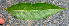  ( - BioBot01583)  @11 [ ] CreativeCommons - Attribution Non-Commercial Share-Alike (2010) Daniel H. Janzen Guanacaste Dry Forest Conservation Fund