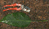 ( - BioBot01596)  @11 [ ] CreativeCommons - Attribution Non-Commercial Share-Alike (2010) Daniel H. Janzen Guanacaste Dry Forest Conservation Fund