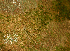 ( - BioBot01628)  @11 [ ] CreativeCommons - Attribution Non-Commercial Share-Alike (2010) Daniel H. Janzen Guanacaste Dry Forest Conservation Fund
