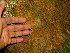  ( - BioBot01628)  @11 [ ] CreativeCommons - Attribution Non-Commercial Share-Alike (2010) Daniel H. Janzen Guanacaste Dry Forest Conservation Fund