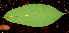  ( - BioBot01628)  @11 [ ] CreativeCommons - Attribution Non-Commercial Share-Alike (2010) Daniel H. Janzen Guanacaste Dry Forest Conservation Fund