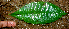  ( - BioBot01807)  @11 [ ] CreativeCommons - Attribution Non-Commercial Share-Alike (2010) Daniel H. Janzen Guanacaste Dry Forest Conservation Fund
