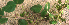  ( - BioBot01886)  @11 [ ] CreativeCommons - Attribution Non-Commercial Share-Alike (2010) Daniel H. Janzen Guanacaste Dry Forest Conservation Fund