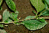  ( - BioBot01937)  @11 [ ] CreativeCommons - Attribution Non-Commercial Share-Alike (2010) Daniel H. Janzen Guanacaste Dry Forest Conservation Fund