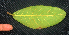  ( - BioBot01941)  @11 [ ] CreativeCommons - Attribution Non-Commercial Share-Alike (2010) Daniel H. Janzen Guanacaste Dry Forest Conservation Fund