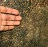  (Ficus crocata - BioBot01942)  @11 [ ] CreativeCommons - Attribution Non-Commercial Share-Alike (2010) Daniel H. Janzen Guanacaste Dry Forest Conservation Fund