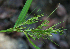  ( - BioBot02332)  @11 [ ] CreativeCommons - Attribution Non-Commercial Share-Alike (2010) Daniel H. Janzen Guanacaste Dry Forest Conservation Fund