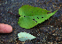  ( - BioBot02345)  @11 [ ] CreativeCommons - Attribution Non-Commercial Share-Alike (2010) Daniel H. Janzen Guanacaste Dry Forest Conservation Fund