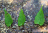  ( - BioBot02347)  @11 [ ] CreativeCommons - Attribution Non-Commercial Share-Alike (2010) Daniel H. Janzen Guanacaste Dry Forest Conservation Fund