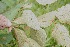  ( - BioBot05000)  @11 [ ] Copyright (2010) Unspecified Unspecified