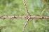  ( - BioBot05000)  @11 [ ] Copyright (2010) Unspecified Unspecified