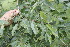  ( - BioBot05030)  @11 [ ] Copyright (2010) Unspecified Unspecified