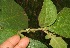  ( - BioBot05035)  @11 [ ] Copyright (2010) Unspecified Unspecified